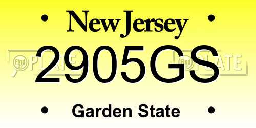 2905GS New Jersey License Plate
