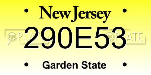 290E53 New Jersey License Plate