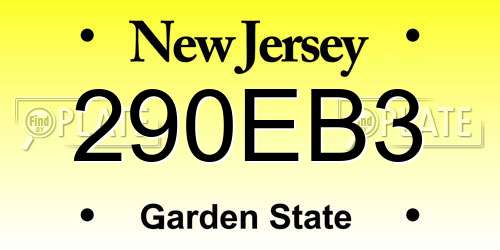 290EB3 New Jersey License Plate