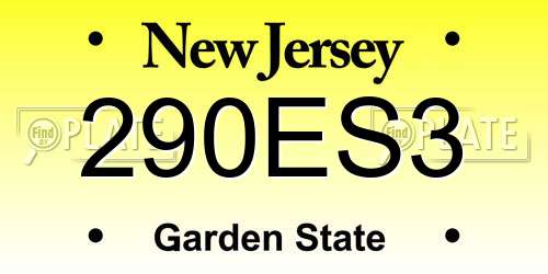 290ES3 New Jersey License Plate