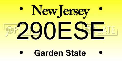 290ESE New Jersey License Plate