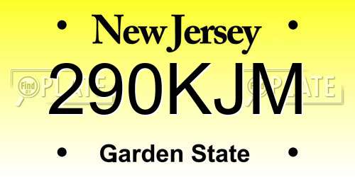 290KJM New Jersey License Plate