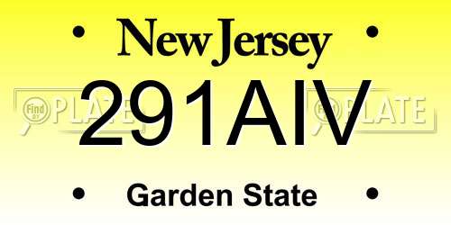 291AIV New Jersey License Plate