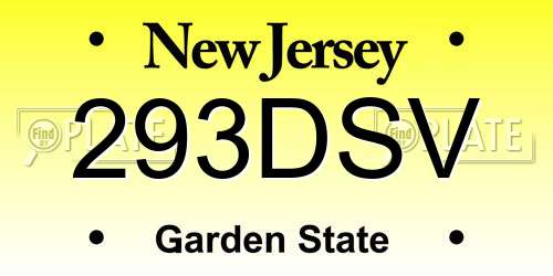 293DSV New Jersey License Plate