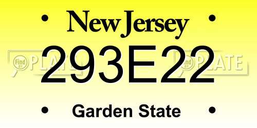 293E22 New Jersey License Plate