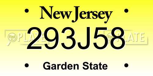 293J58 New Jersey License Plate