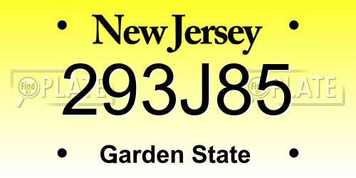 293J85 New Jersey License Plate
