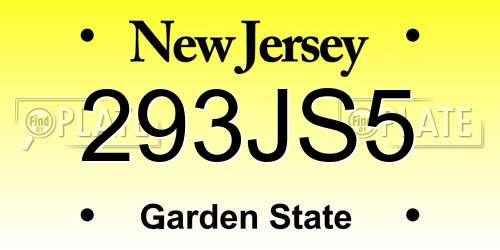 293JS5 New Jersey License Plate