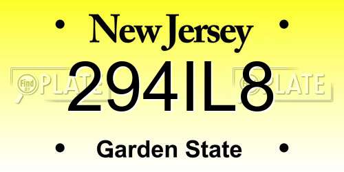 294IL8 New Jersey License Plate