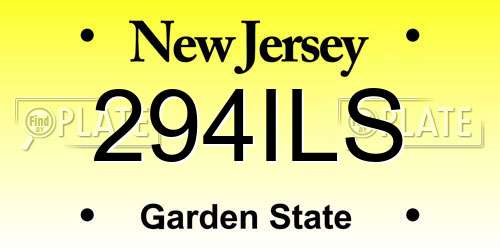 294ILS New Jersey License Plate