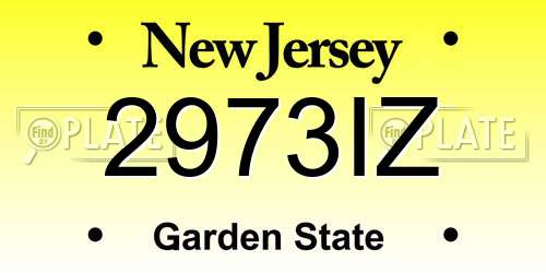 2973IZ New Jersey License Plate