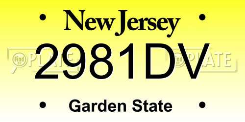 2981DV New Jersey License Plate