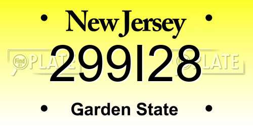 299I28 New Jersey License Plate