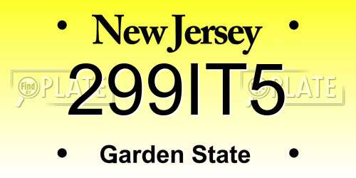 299IT5 New Jersey License Plate