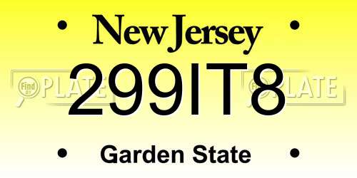 299IT8 New Jersey License Plate