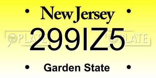 299IZ5 New Jersey License Plate