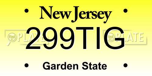 299TIG New Jersey License Plate