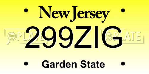 299ZIG New Jersey License Plate