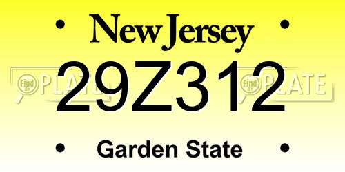 29Z312 New Jersey License Plate