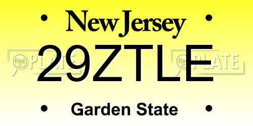 29ZTLE New Jersey License Plate