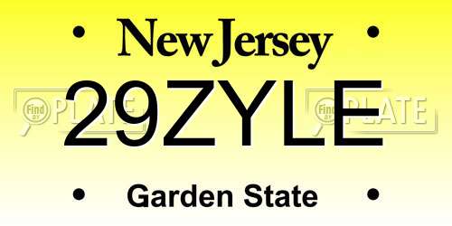 29ZYLE New Jersey License Plate