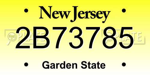 2B73785 New Jersey License Plate
