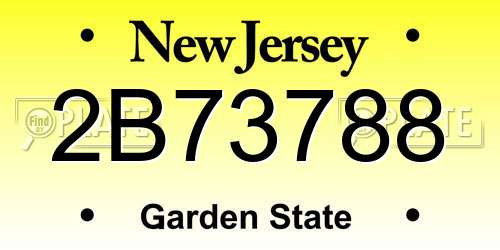 2B73788 New Jersey License Plate