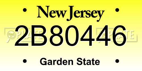 2B80446 New Jersey License Plate