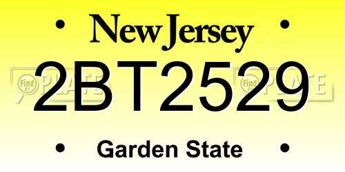 2BT2529 New Jersey License Plate