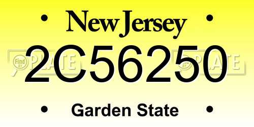 2C56250 New Jersey License Plate
