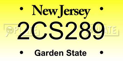 2CS289 New Jersey License Plate