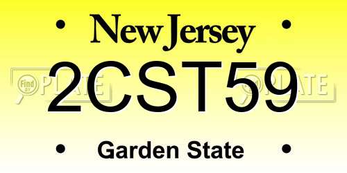 2CST59 New Jersey License Plate