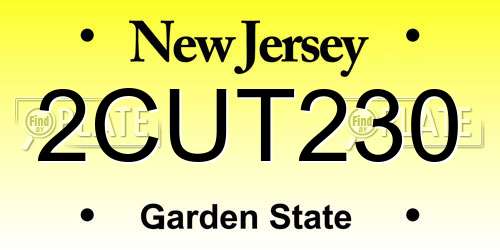 2CUT230 New Jersey License Plate