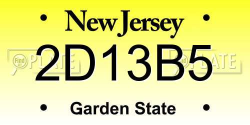 2D13B5 New Jersey License Plate
