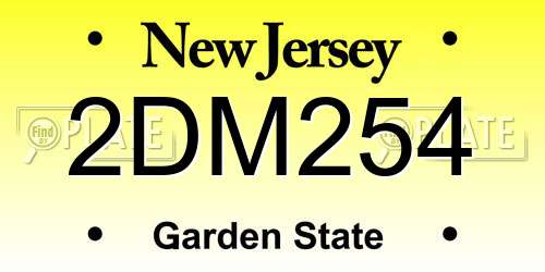 2DM254 New Jersey License Plate