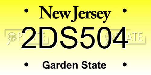 2DS504 New Jersey License Plate