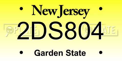 2DS804 New Jersey License Plate