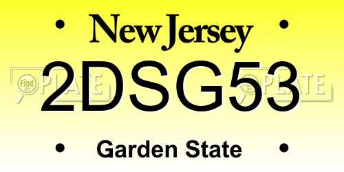 2DSG53 New Jersey License Plate