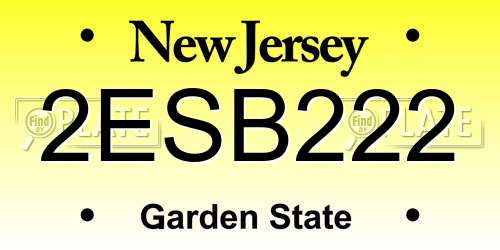 2ESB222 New Jersey License Plate