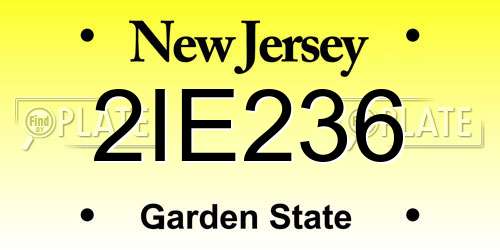 2IE236 New Jersey License Plate