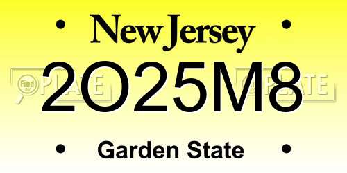 2O25M8 New Jersey License Plate