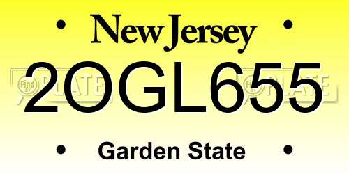 2OGL655 New Jersey License Plate
