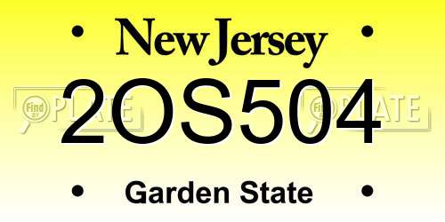 2OS504 New Jersey License Plate
