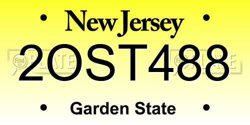 2OST488 New Jersey License Plate