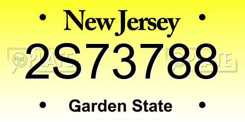 2S73788 New Jersey License Plate