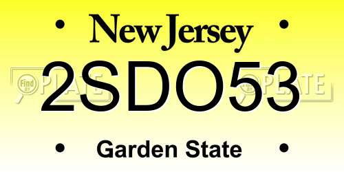 2SDO53 New Jersey License Plate