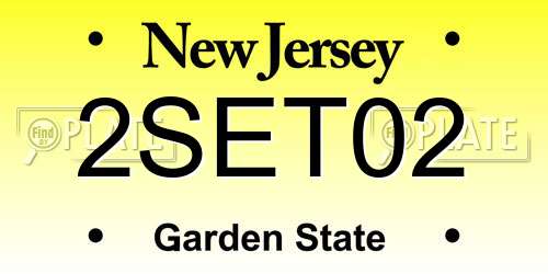 2SET02 New Jersey License Plate