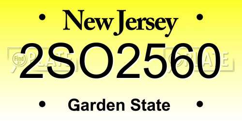 2SO2560 New Jersey License Plate