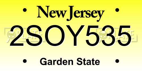 2SOY535 New Jersey License Plate