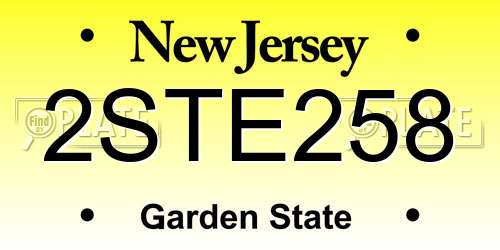 2STE258 New Jersey License Plate